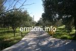 GL 0174 - Ranger's Lodge - Flamboura - Kranidi 